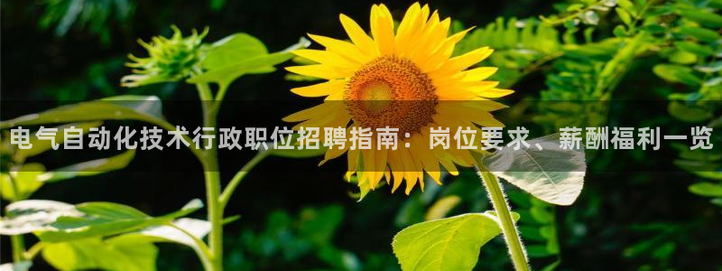 凯发网站是多少