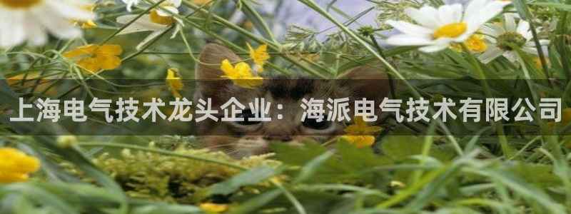 凯发k8手机网页