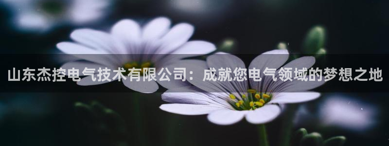凯发k8娱乐官方版fxzls -安卓3.5