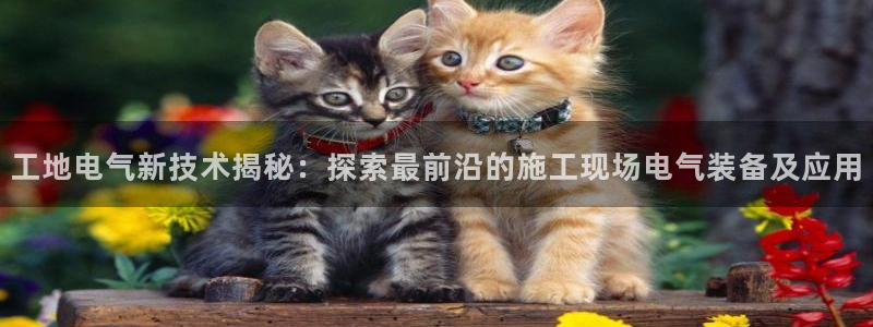 凯发官网网址多少