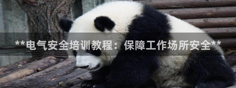 凯发k8国际app