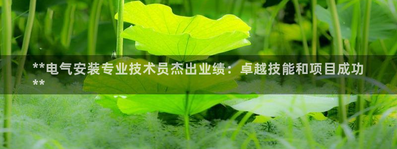 凯发网址直营