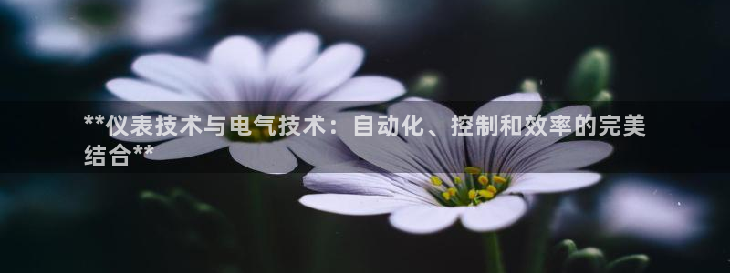凯发国际娱乐官网k8