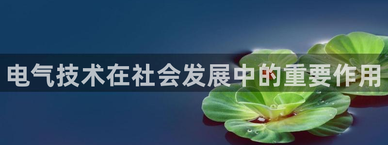 凯发app官网