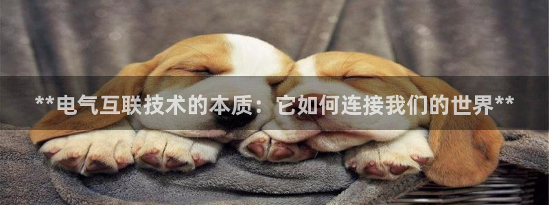 凯发国际网址官网查询