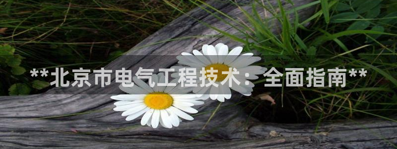 凯发k8国际app