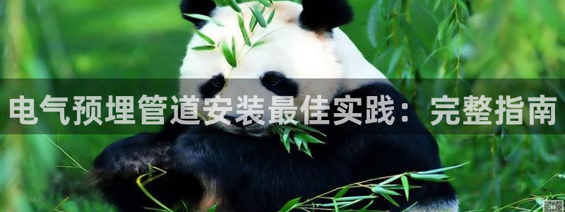 凯发娱乐国际厅