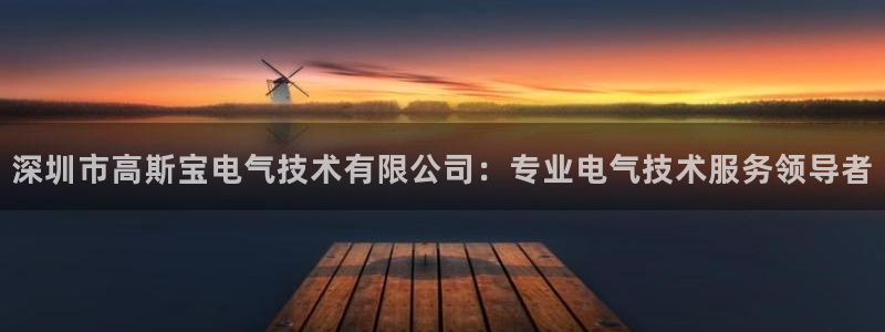 凯发一触即发：深圳市高斯宝电气技术有限公司：专业电