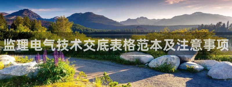 凯发国际网址官网查询：监理电气技术交底表格范本及注