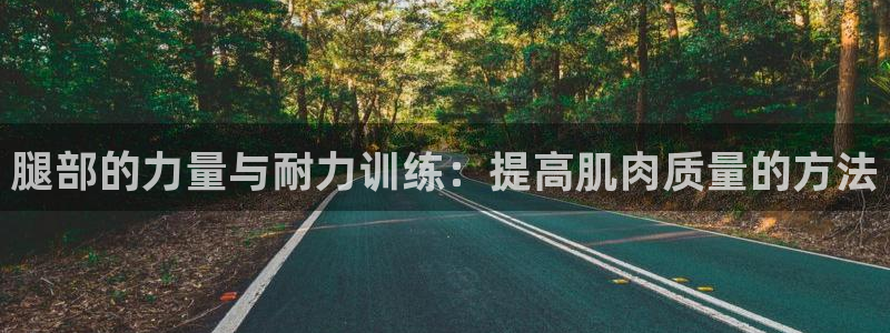 xc体育app官方网站：腿部的力量与耐力训练：提高肌肉质量的方法